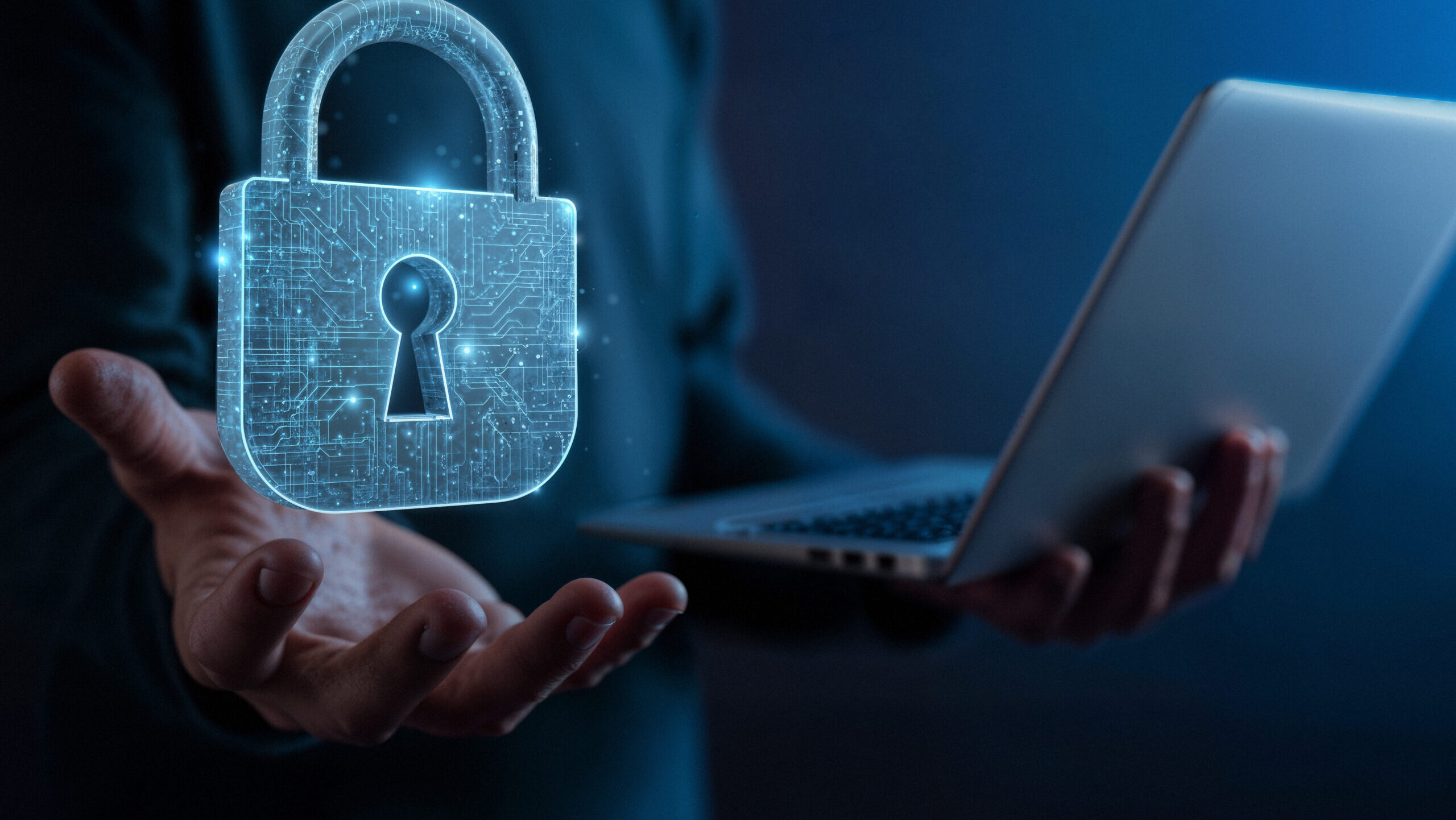 securing-digital-data-conceptualizing-cybersecurity